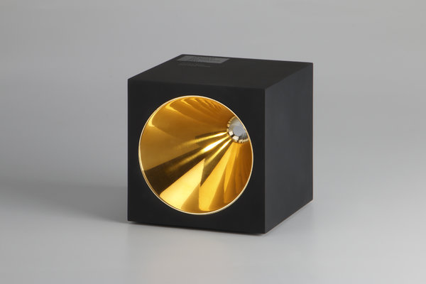 Złoty Róg, Srebrny Róg 2013